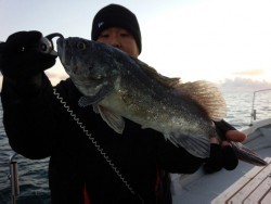 MATSUSHIMA SEANET 釣果