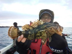 MATSUSHIMA SEANET 釣果