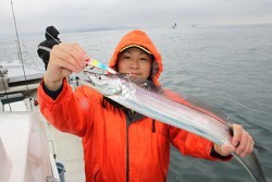 松本釣船2 釣果