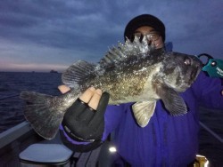 MATSUSHIMA SEANET 釣果