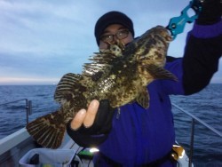 MATSUSHIMA SEANET 釣果