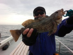 MATSUSHIMA SEANET 釣果