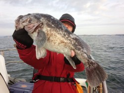 MATSUSHIMA SEANET 釣果