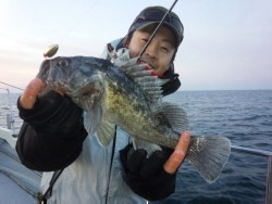 MATSUSHIMA SEANET 釣果