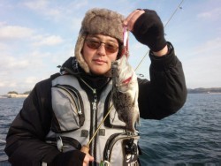 MATSUSHIMA SEANET 釣果