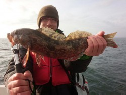 MATSUSHIMA SEANET 釣果