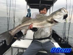 オーシャンマスター 釣果