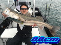 オーシャンマスター 釣果