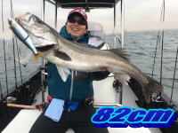 オーシャンマスター 釣果