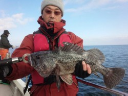 MATSUSHIMA SEANET 釣果