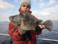 MATSUSHIMA SEANET 釣果