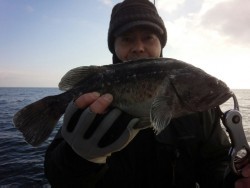 MATSUSHIMA SEANET 釣果