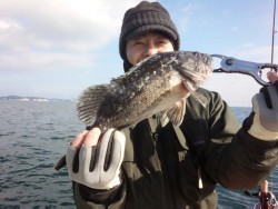 MATSUSHIMA SEANET 釣果