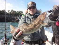 MATSUSHIMA SEANET 釣果