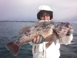 MATSUSHIMA SEANET 釣果