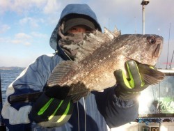 MATSUSHIMA SEANET 釣果