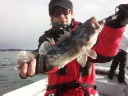 MATSUSHIMA SEANET 釣果