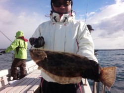 MATSUSHIMA SEANET 釣果