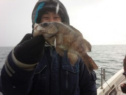 MATSUSHIMA SEANET 釣果