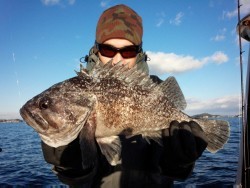 MATSUSHIMA SEANET 釣果