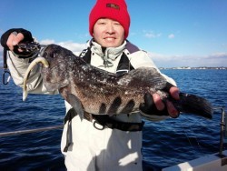 MATSUSHIMA SEANET 釣果