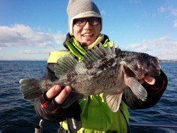 MATSUSHIMA SEANET 釣果