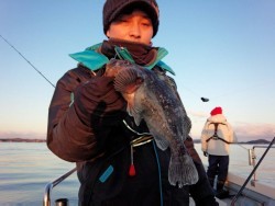 MATSUSHIMA SEANET 釣果