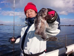 MATSUSHIMA SEANET 釣果