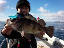 MATSUSHIMA SEANET 釣果