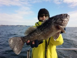 MATSUSHIMA SEANET 釣果