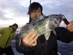 MATSUSHIMA SEANET 釣果