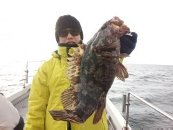 MATSUSHIMA SEANET 釣果