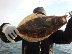 MATSUSHIMA SEANET 釣果