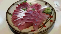 つれ鷹丸 釣果