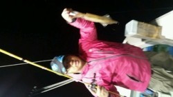 ディープ オーシャン 釣果