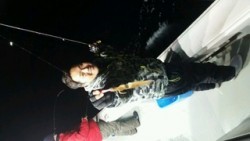 ディープ オーシャン 釣果