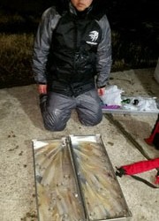 ディープ オーシャン 釣果