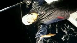 ディープ オーシャン 釣果