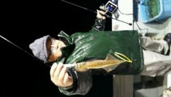 ディープ オーシャン 釣果