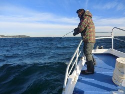 Big One　ビッグワン 釣果