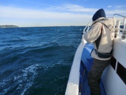 Big One　ビッグワン 釣果