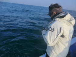 ＢＩＧ－ＯＮＥ 釣果