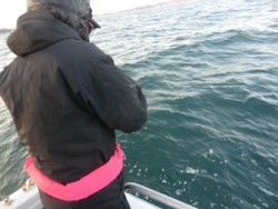 ＢＩＧ－ＯＮＥ 釣果