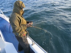 ＢＩＧ－ＯＮＥ 釣果