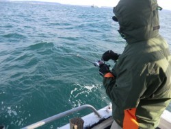 ＢＩＧ－ＯＮＥ 釣果