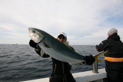 オーシャンズ 釣果