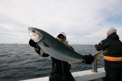 オーシャンズ 釣果
