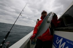 オーシャンズ 釣果