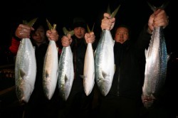 オーシャンズ 釣果