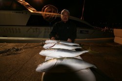 オーシャンズ 釣果